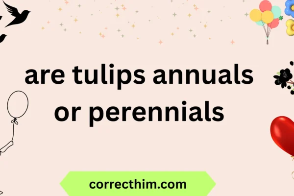 are tulips annuals or perennials