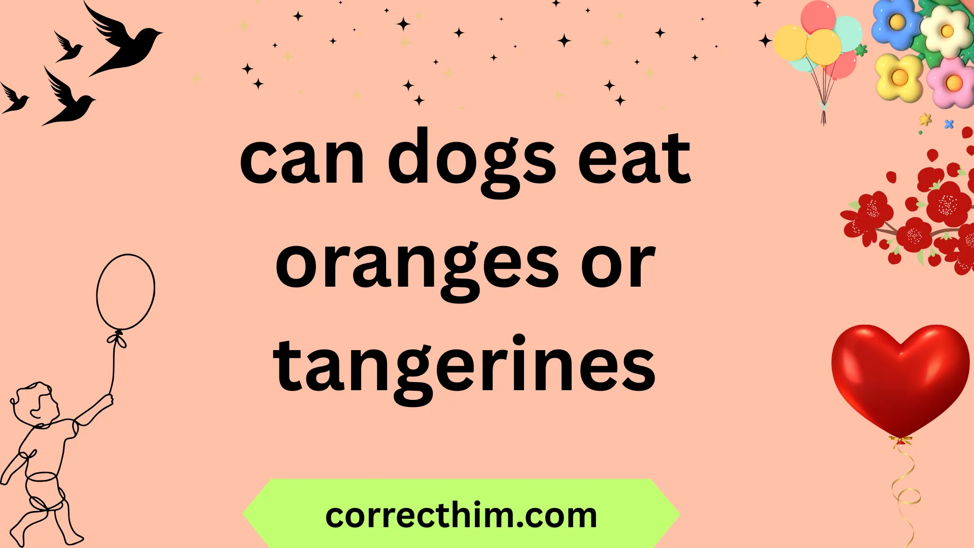 can dogs eat oranges or tangerines