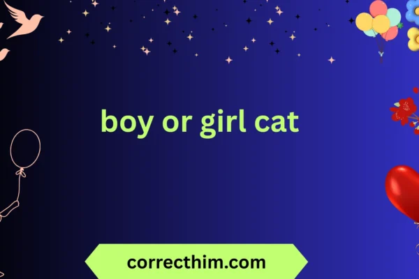 boy or girl cat