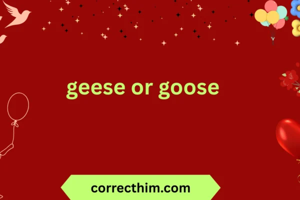 geese or goose