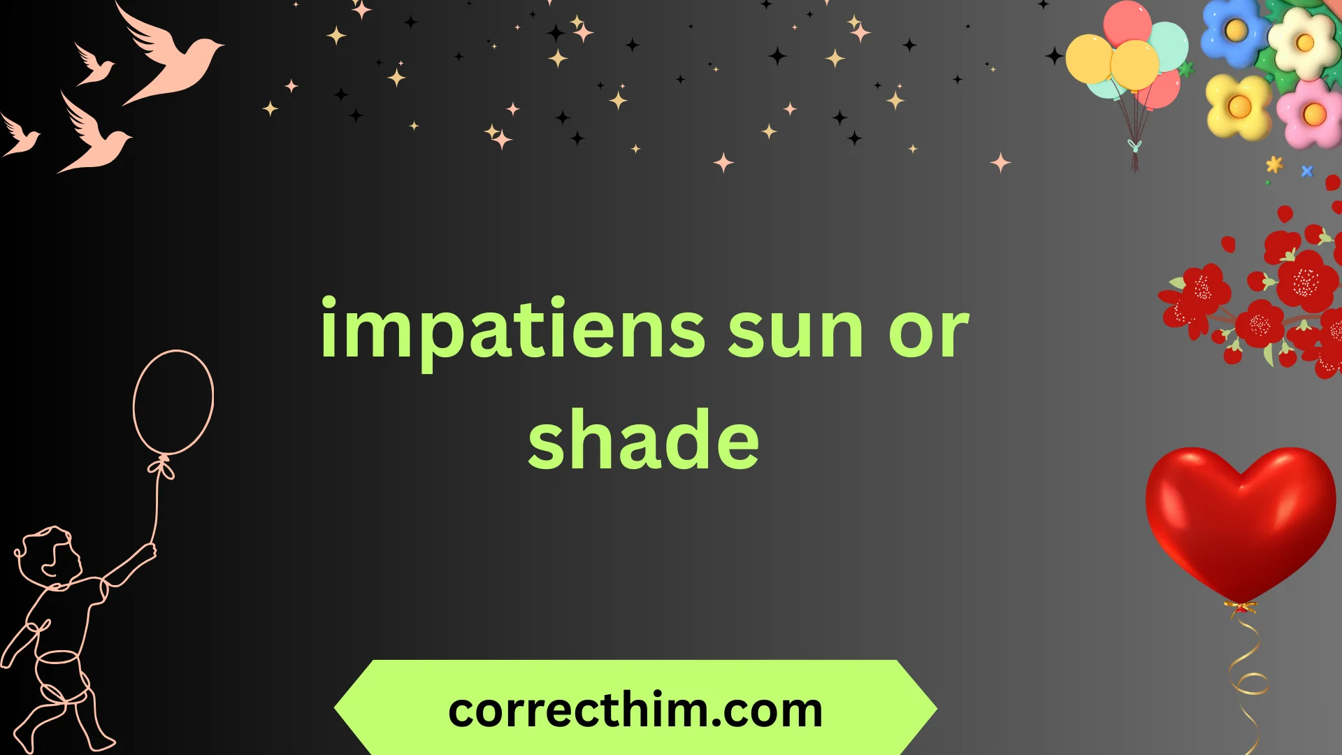 impatiens sun or shade