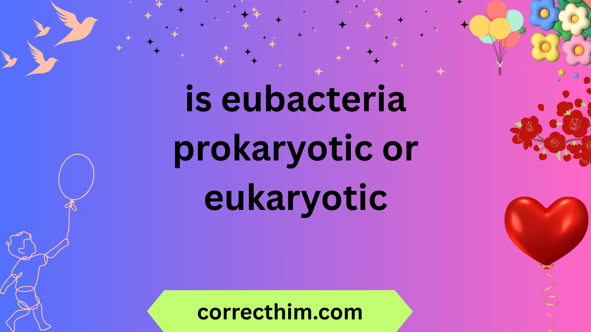 is eubacteria prokaryotic or eukaryotic