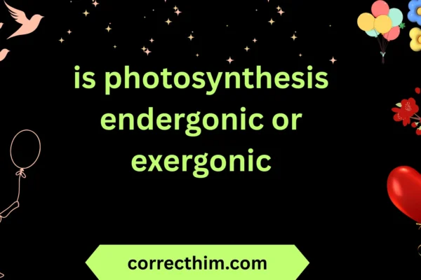 is photosynthesis endergonic or exergonic