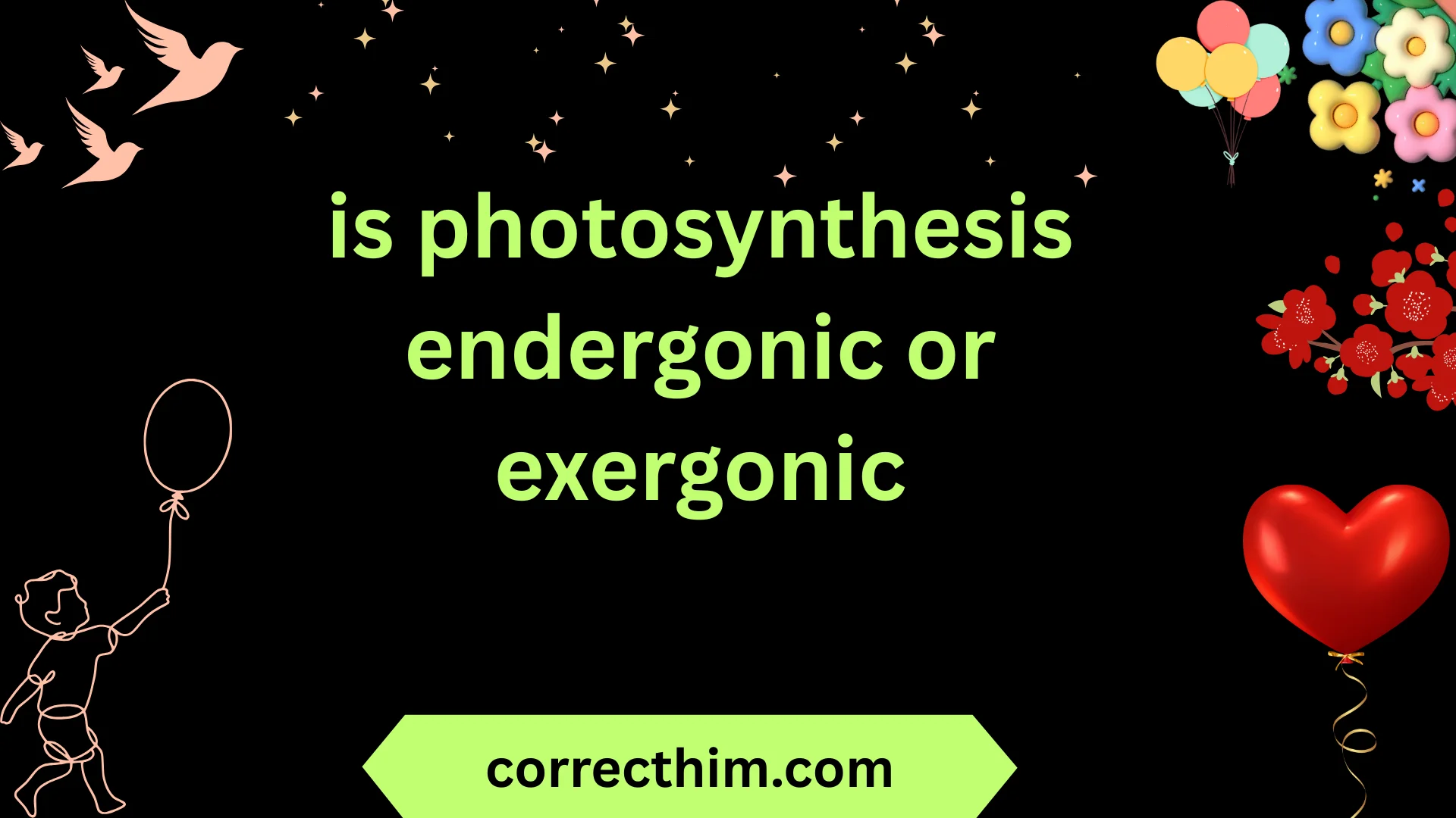 is photosynthesis endergonic or exergonic
