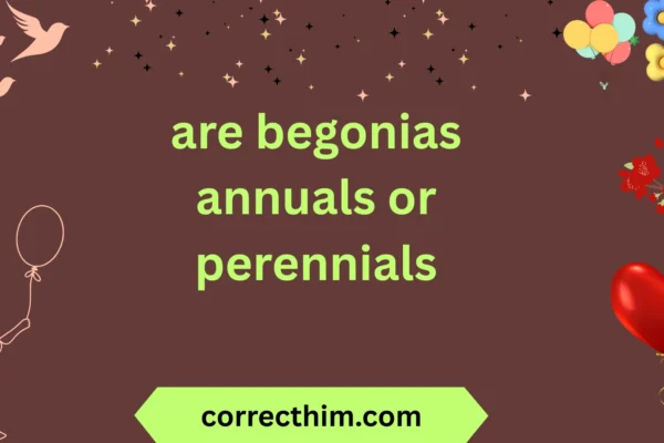 are begonias annuals or perennials