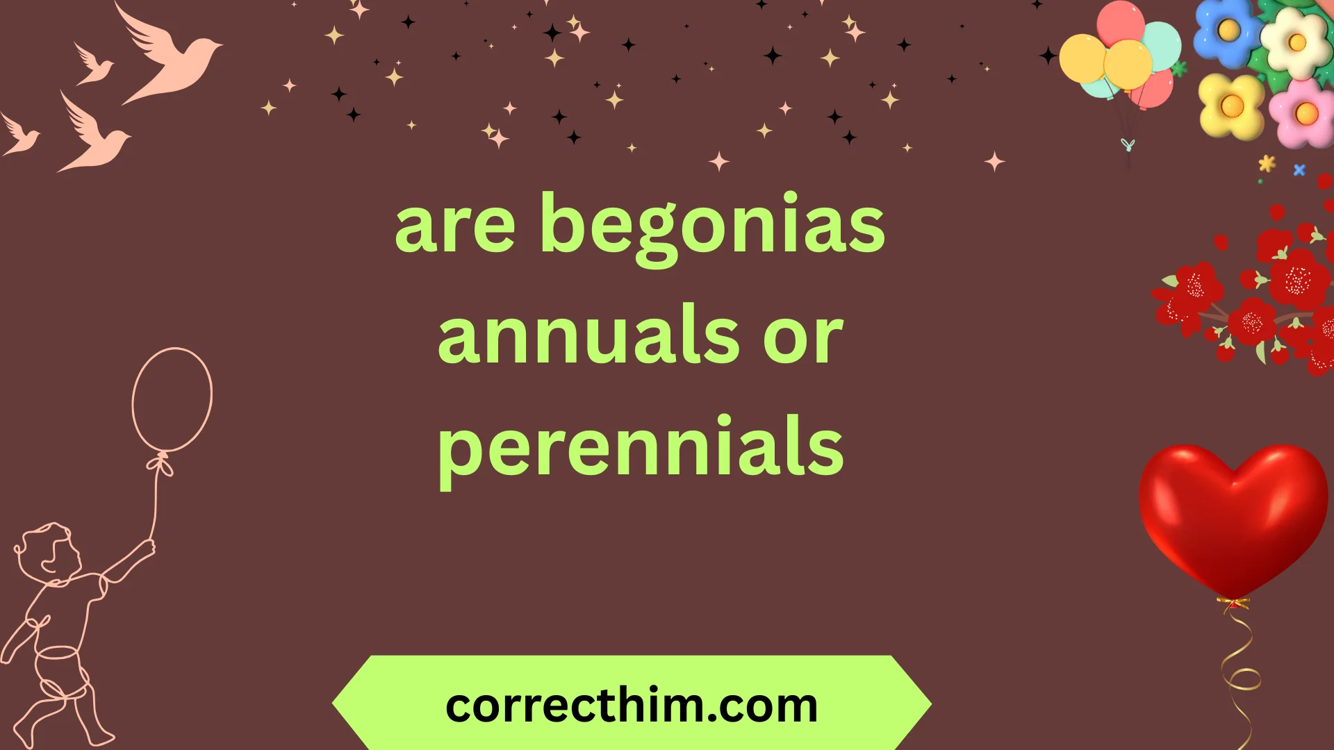 are begonias annuals or perennials