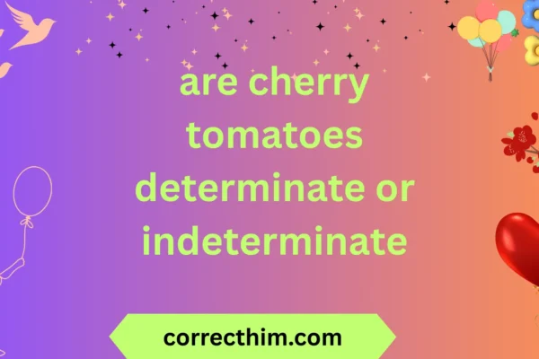 are cherry tomatoes determinate or indeterminate