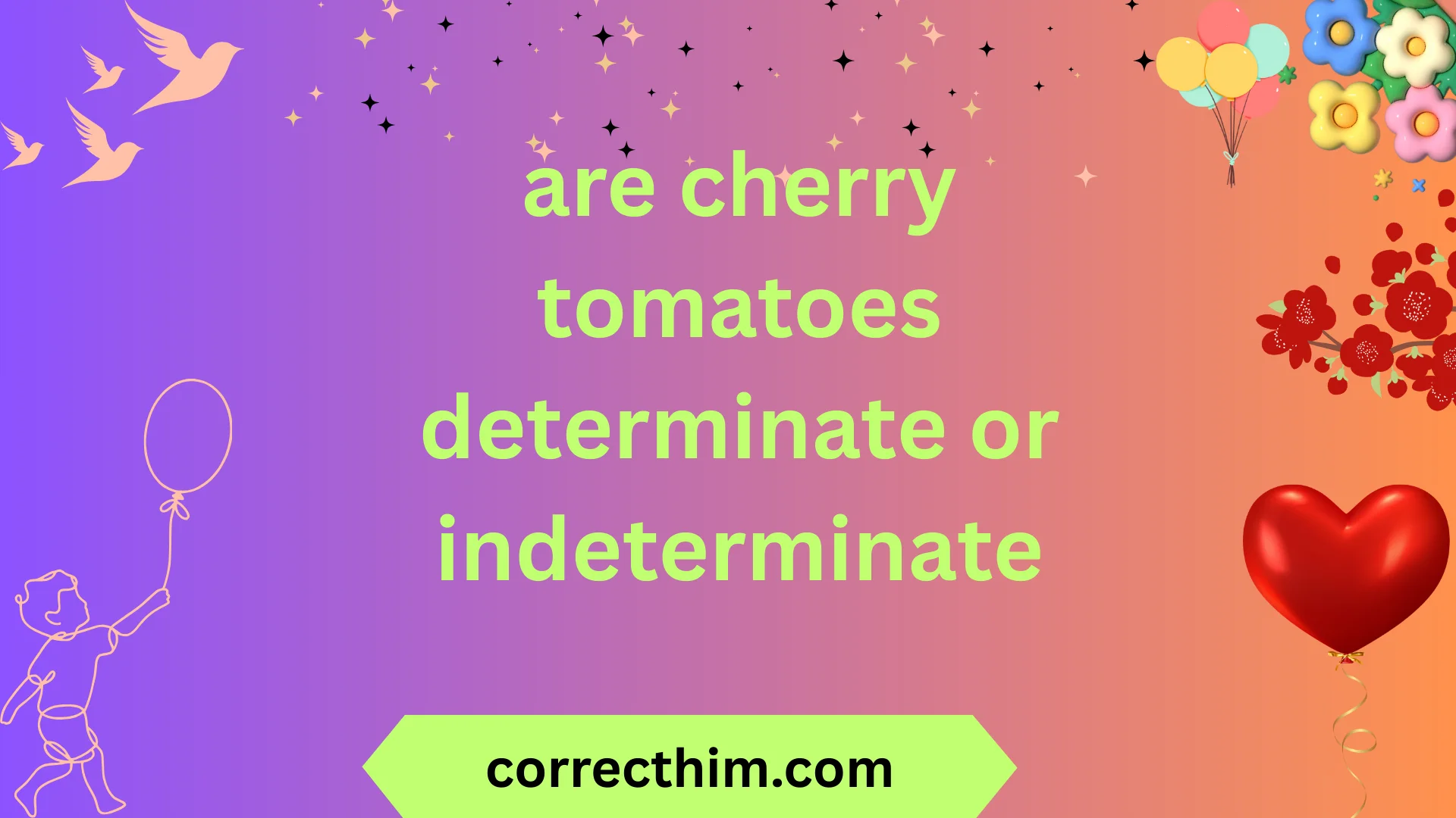 are cherry tomatoes determinate or indeterminate