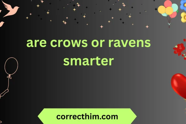 are crows or ravens smarter