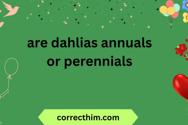 are dahlias annuals or perennials