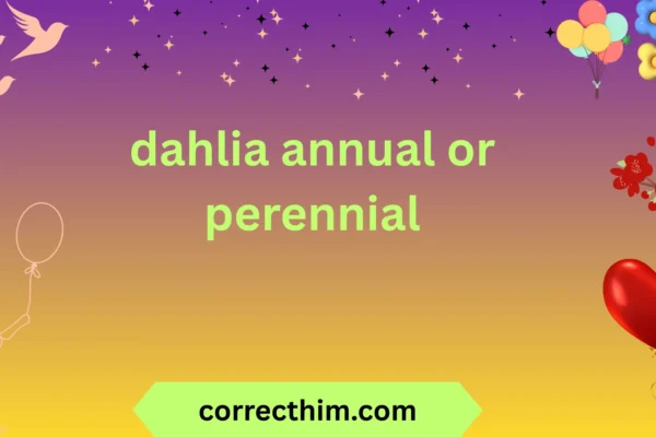 dahlia annual or perennial