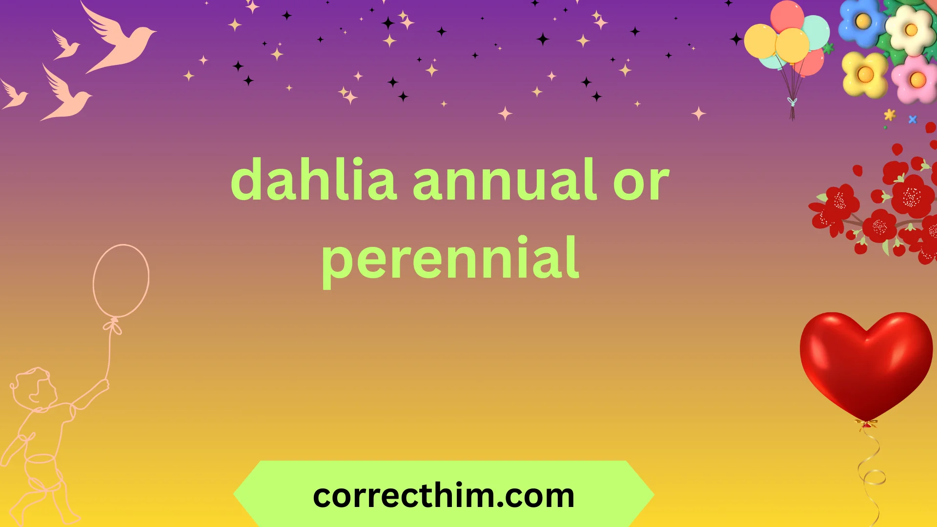 dahlia annual or perennial