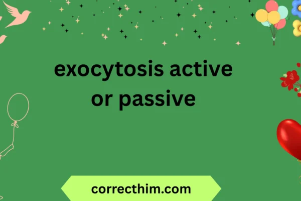 exocytosis active or passive