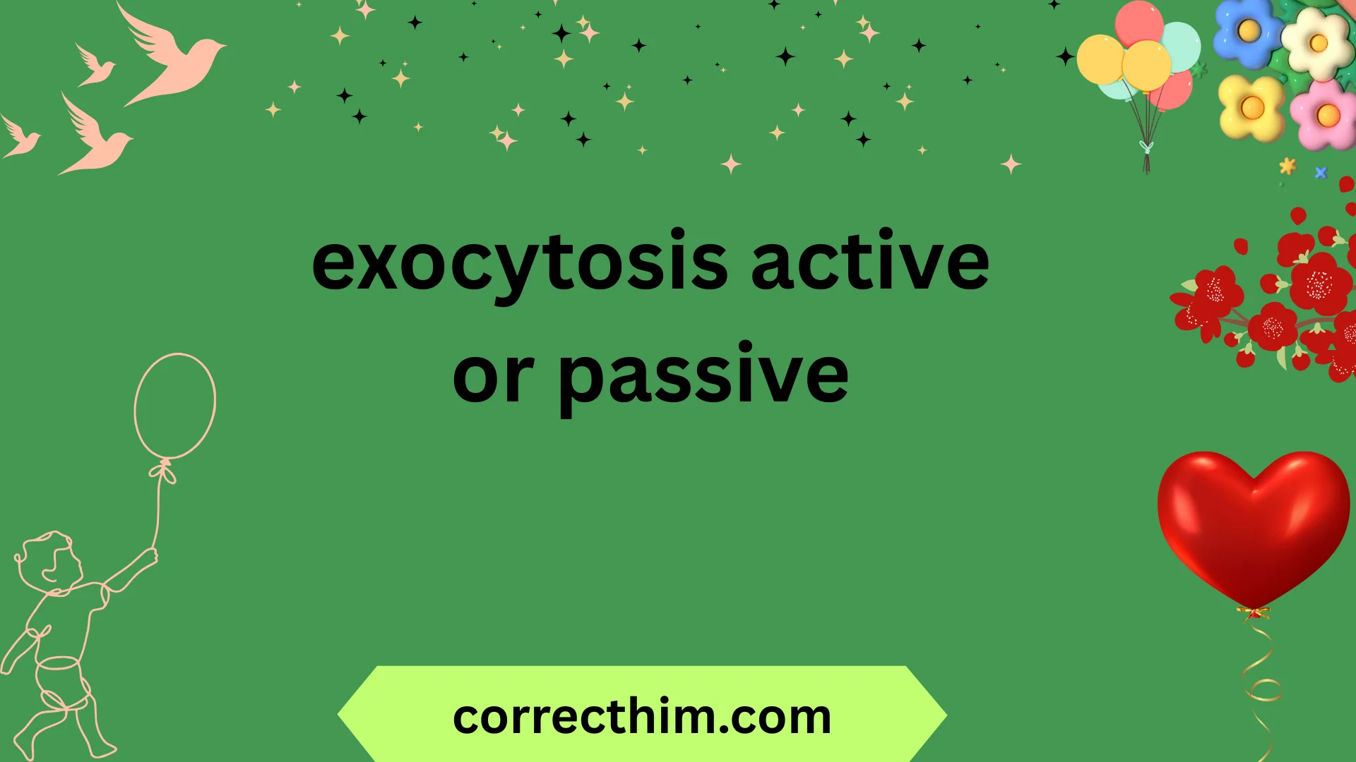 exocytosis active or passive