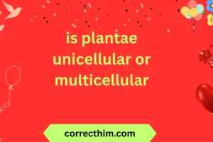 is plantae unicellular or multicellular