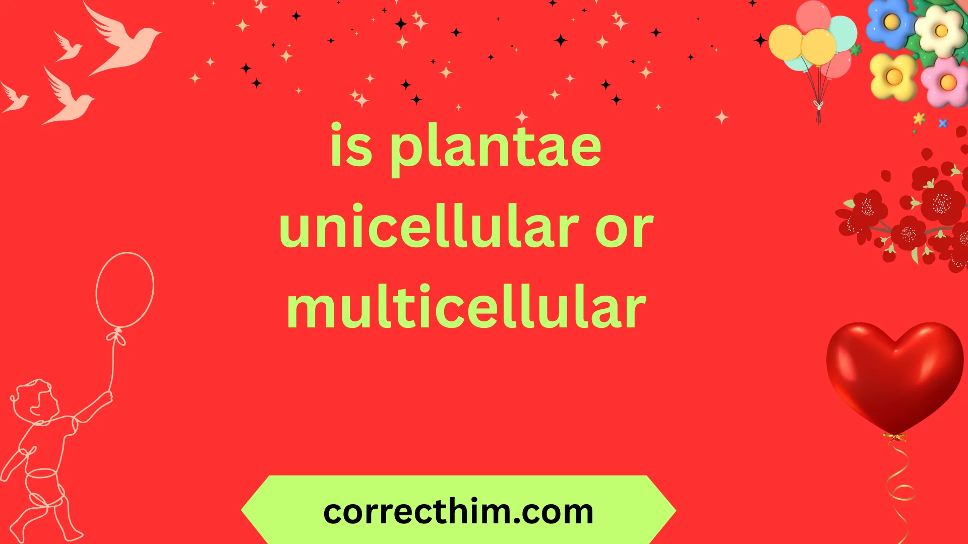 is plantae unicellular or multicellular